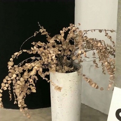 兽设晴天场景绘制FurryQQ群